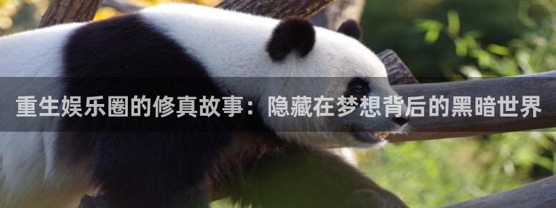 赢咖平台怎么注册