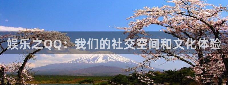 赢咖二app下载