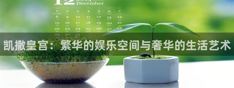 赢咖5盛煌平台官网