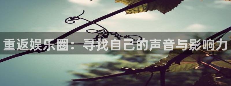 赢咖二app下载
